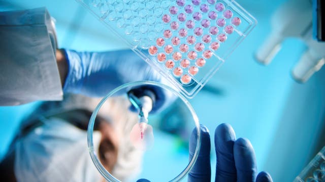 Um neue Medikamente zu entwickeln, sind viele Labortests notwendig