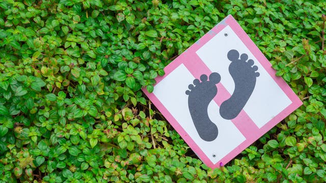 Verbotsschild mit Abdrücken von nackten Füßen liegt auf grün bewachsenem Grund
