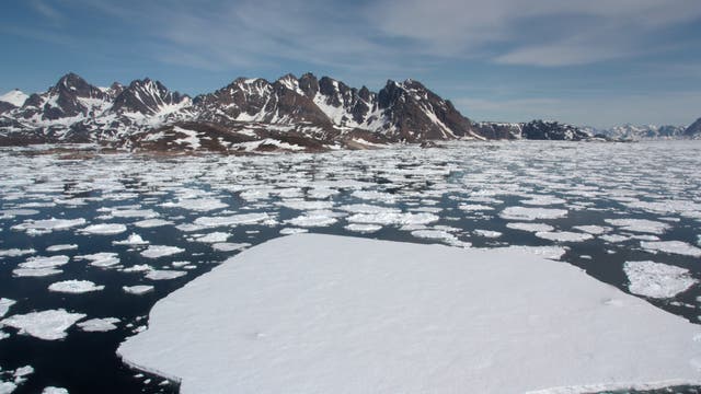 Das Arktiseis im Klimawandel