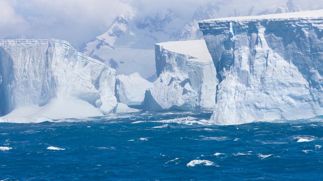 Mehrere große Eisberge mit einer bergigen Küste im Hintergrund.