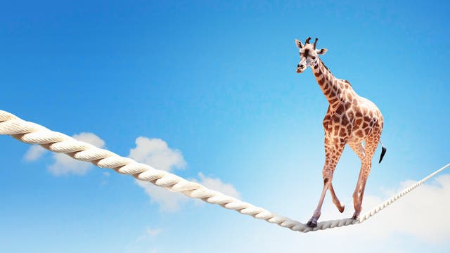 Eine Giraffe balanciert auf einen Seil