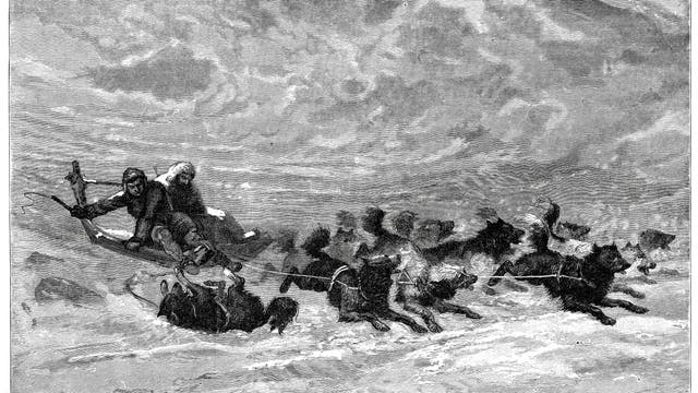 Hundeschlitten der Inuit. Stich aus dem Jahr 1878