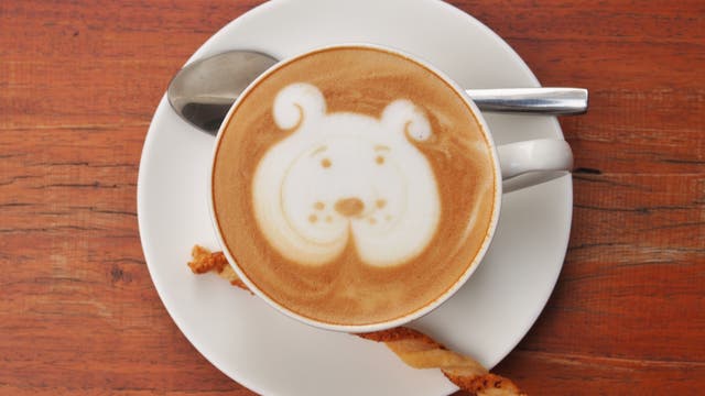 Hund im Kaffee