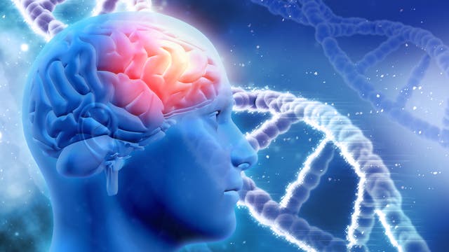 Ein männlicher Kopf mit Gehirn, daneben eine DNA-Helix