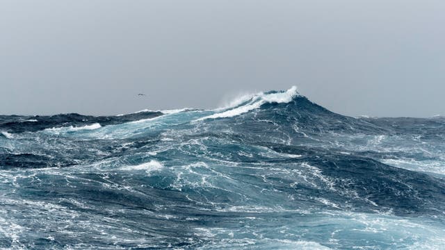 Eine große, sich nicht brechende Welle auf dem Meer.