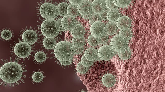 Ein Cluster von Virionen attackiert eine Zelle.