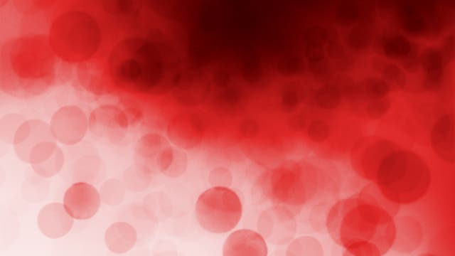 Die bundesweit häufigsten Blutgruppen scheinen den Verlauf einer Covid-19-Erkrankung stark zu beeinflussen. 