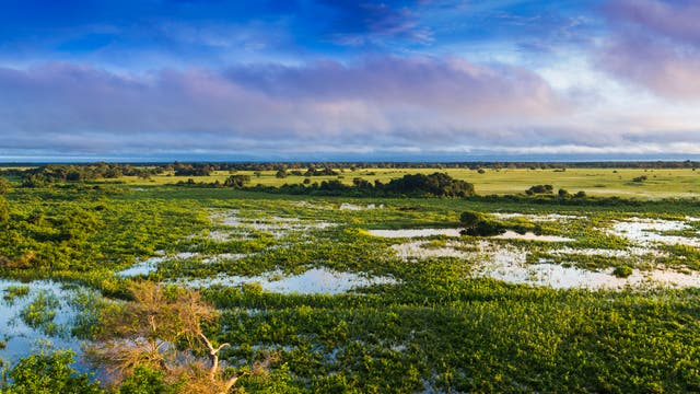 Das Pantanal ist berühmt für seine abertausenden Wasserläufe