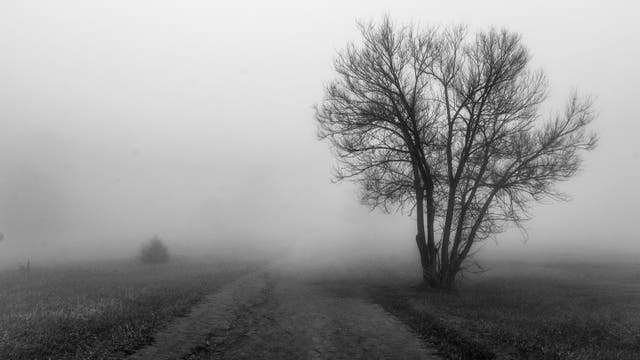 November Landschaft im Nebel