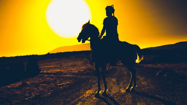 Krieger zu Pferd im Sonnenuntergang (Symbolbild).