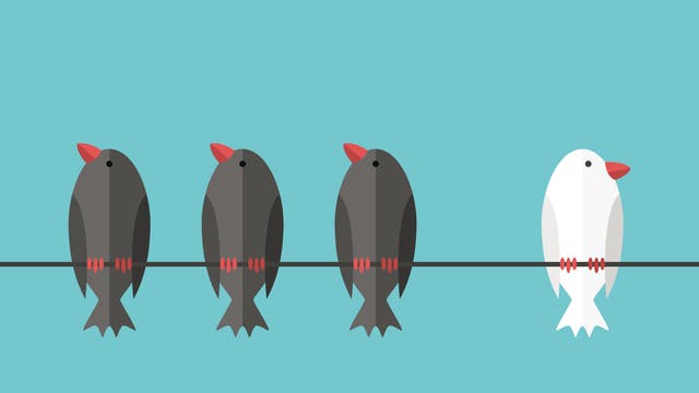 Eine minimalistische Illustration zeigt vier Vögel auf einer Leitung vor einem hellblauen Hintergrund. Drei der Vögel sind dunkelgrau, während der vierte Vogel weiß ist. Alle Vögel haben rote Schnäbel und Krallen. Die Darstellung thematisiert Individualität und Andersartigkeit.