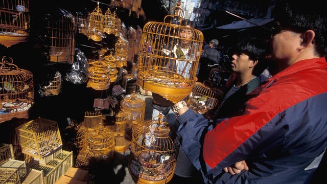 Vogelmarkt in Kowloon, Hongkong