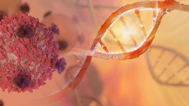 Tumorzelle und DNA