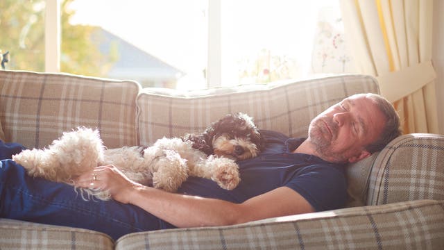 Ein Mann mittleren Alters hält mit seinem Hund Nickerchen auf dem Sofa