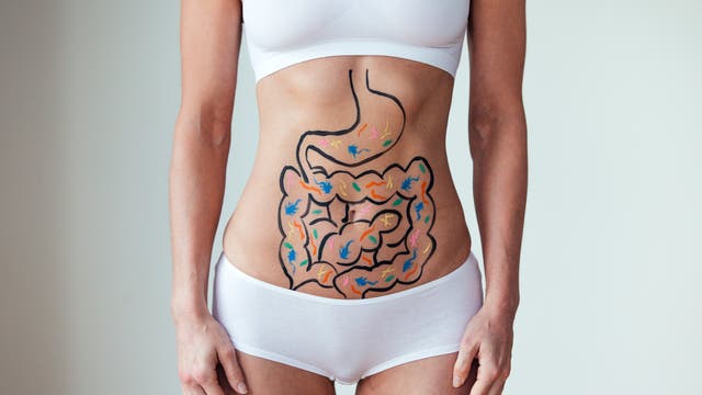 Auf dem Bauch einer jungen Frau ist ein Verdauungstrakt gezeichnet, in dem sich bunte Tiere tummeln, die ICH nicht in meinem Verdauungstrakt haben möchte.