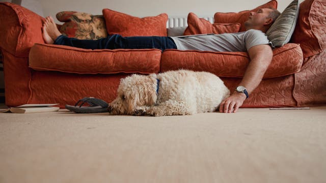 Schlafender Mann auf Sofa mit Hund davor