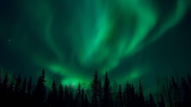 Nordlichter über Fairbanks, Alaska