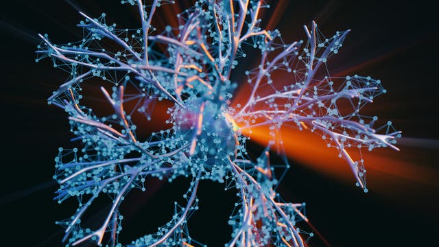 Ein Lichtstrahl trifft eine fein verzweigte Nervenzelle