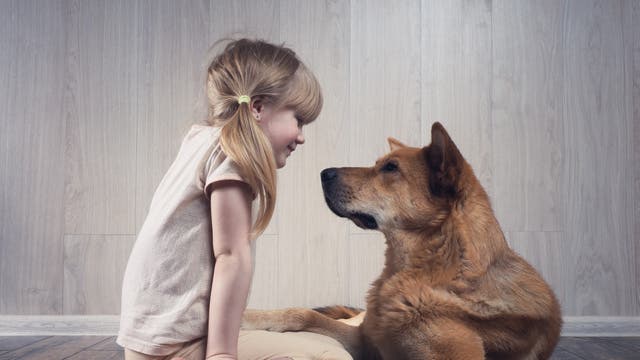 Ein Mädchen und ihr Hund sitzen sich gegenüber und schauen einander an.