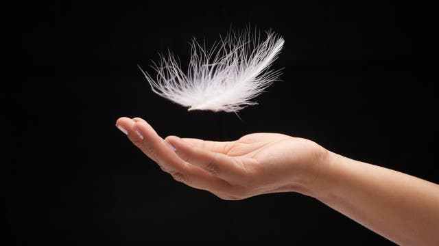Eine weiße Feder schwebt einige Zentimeter über einer ausgestreckten Hand
