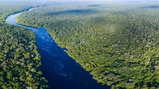 Über dem Amazonas-Regenwald