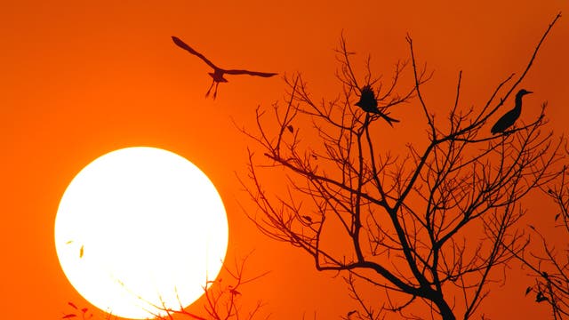 Sonnenuntergang in Indien