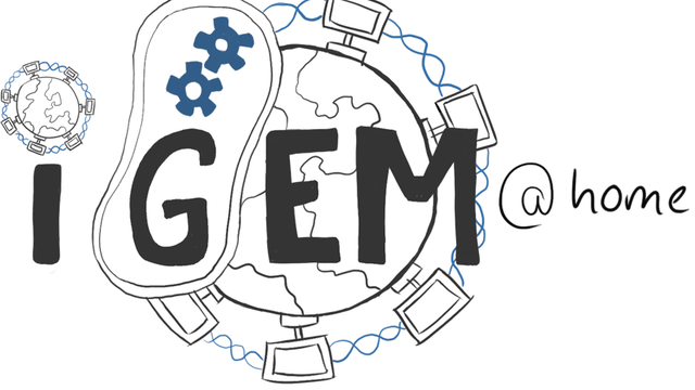 Logo von iGEM@home