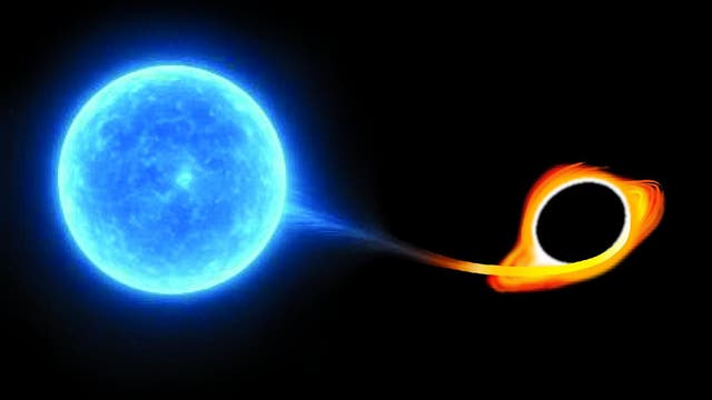 Ein leuchtend blauer Stern wird von einem Schwarzen Loch angezogen. Der Stern befindet sich links im Bild und strahlt hell, während das Schwarze Loch rechts eine orangefarbene Akkretionsscheibe hat, die Materie vom Stern anzieht. Der Hintergrund ist schwarz, was den Kontrast verstärkt.