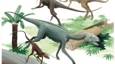 Dinosaurier (hinten) und ihre Vorfahren (vorne)
