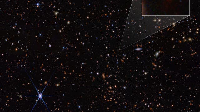 Ein tiefes Weltraumbild zeigt zahlreiche Galaxien und Sterne vor einem dunklen Hintergrund. In der rechten oberen Ecke ist ein vergrößerter Ausschnitt mit der Bezeichnung "JADES-GS-z14-0" zu sehen, der eine rötliche Galaxie mit einem Pfeil markiert. Dieses Bild veranschaulicht die Vielfalt und Tiefe des Universums und hebt eine spezifische Galaxie hervor.