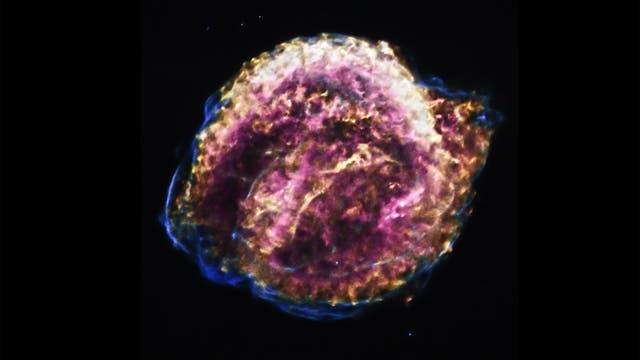 Keplers Supernova