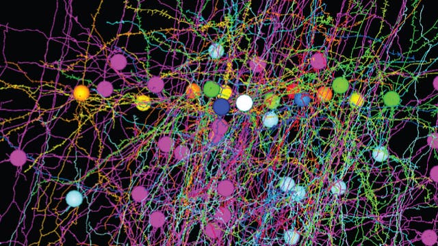 Dreidimensionale Darstellung von vierzehn Neuronen