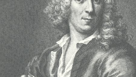 Linné im Informationszeitalter