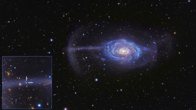 Die Regenschirm-Galaxie NGC 4651
