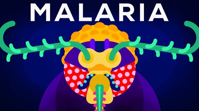 Genetic Engineering and Diseases – Gene Drive & Malaria