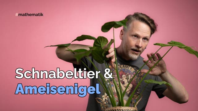 Schnabeltier & Ameisenigel (Mengenlehre)