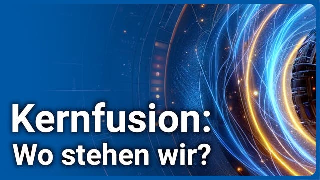 Kernfusion • Kritik & Einordnung zum „größten Fehler“ | Hartmut Zohm