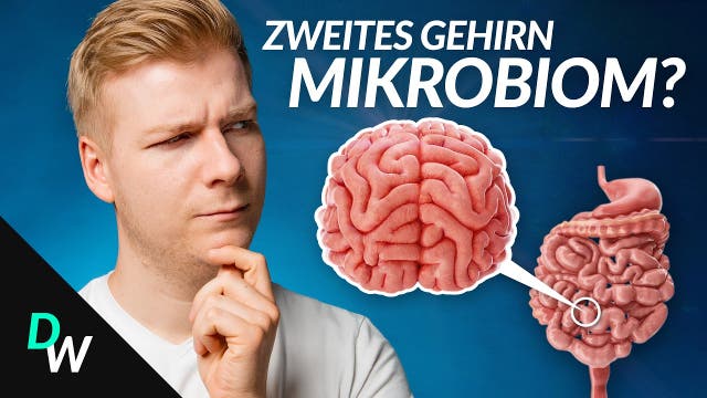 Werden wir von unserem Mikrobiom gesteuert?