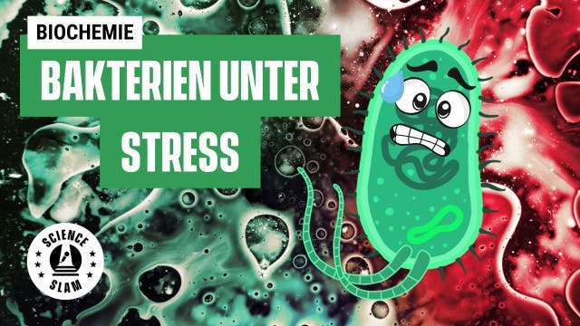 Antibiotika wirken nicht? Vielleicht schlafen die Bakterien! (Felix Wo