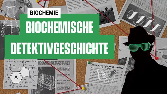 Geheime Treffen von Proteinen: eine biochemische Detektivgeschichte (M