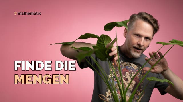 Finde die Mengen