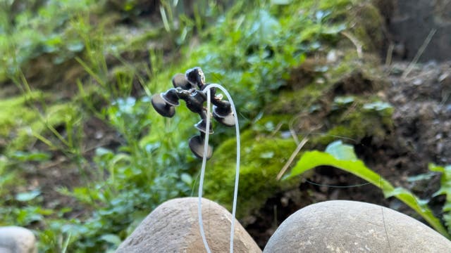 Von den Forschern inszeniertes Foto, um zu zeigen, wie ein vierfüßiger Mini-Robot von Stein zu Stein hüpft.