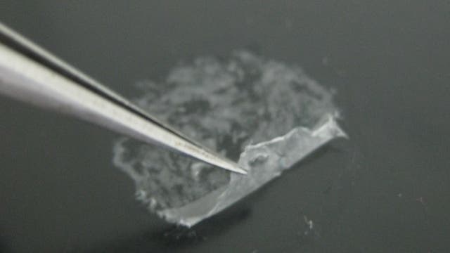 Polylaktat-Nanofolie