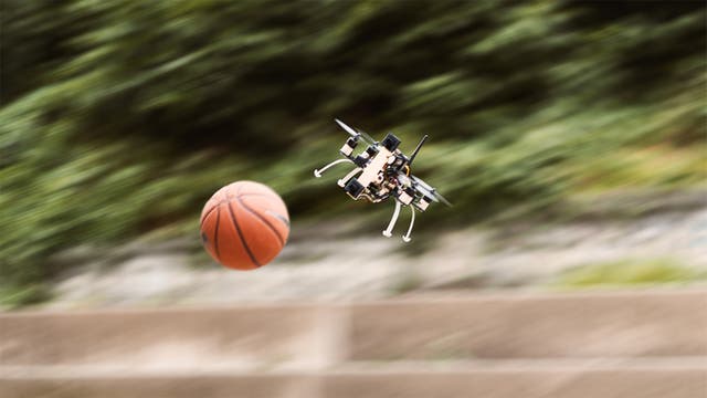 Drohne gewinnt beim Völkerball