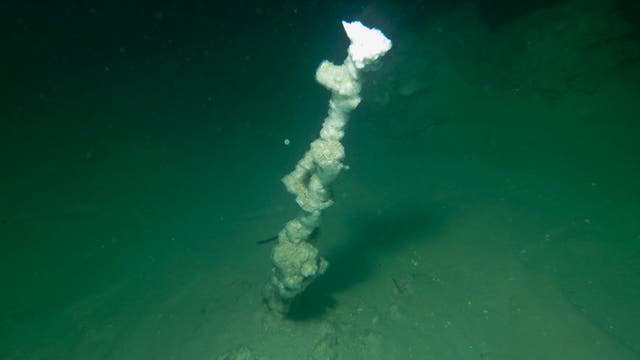 Aus dem schlammigen Untergrund ragt eine Salzsäule hervor: Der Boden wie der untere Teil der Säule ist grünlich, an der Spitze strahlt sie weiß. Der Hintergrund wird von der Bildmitte nach oben zunehmend dunkel.