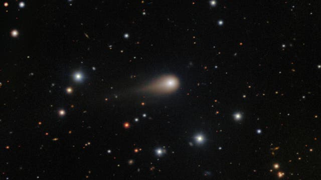 Ein astronomisches Bild zeigt einen Kometen mit einem leuchtenden Kern und einem diffusen Schweif. Der Komet ist von zahlreichen Sternen umgeben, die als helle Punkte vor einem dunklen Hintergrund erscheinen. Einige Sterne sind heller und größer, während andere schwächer leuchten. Das Bild vermittelt den Eindruck der Weite des Weltraums und der Bewegung des Kometen durch das Sternenfeld.