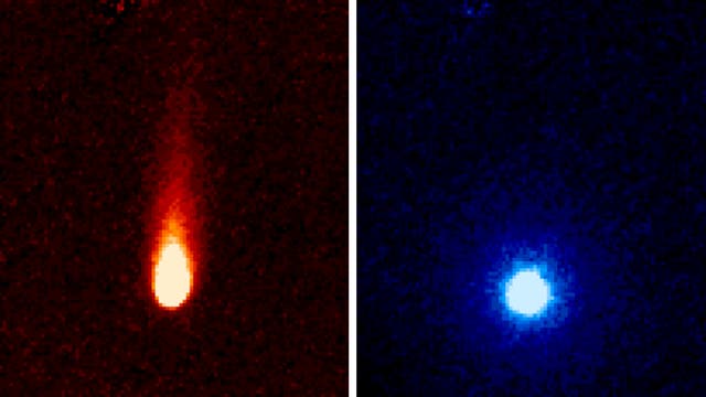 Komet ISON am 13. Juni 2013 (Infrarotaufnahmen)