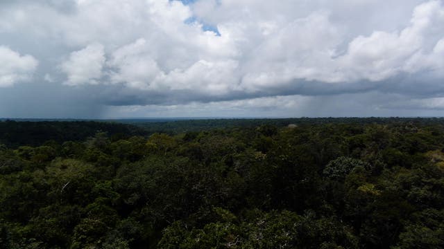 Regenwolken über dem Regenwald