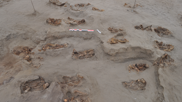 Am Fundplatz Huanchaquito-Las Llamas legten Archäologen zahlreiche Skelette von Kindern und Lamas frei.