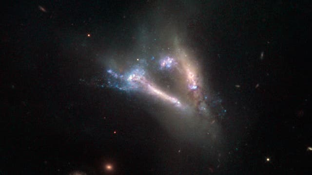 IC 2184 - zwei verschmelzende Galaxien
